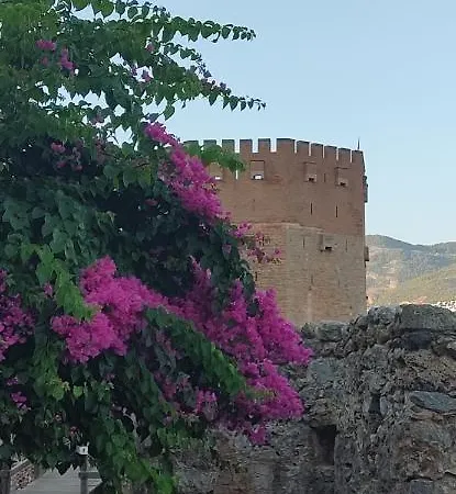 Euro5 Residence Mahmutlar-Alanya Apartment Alanya